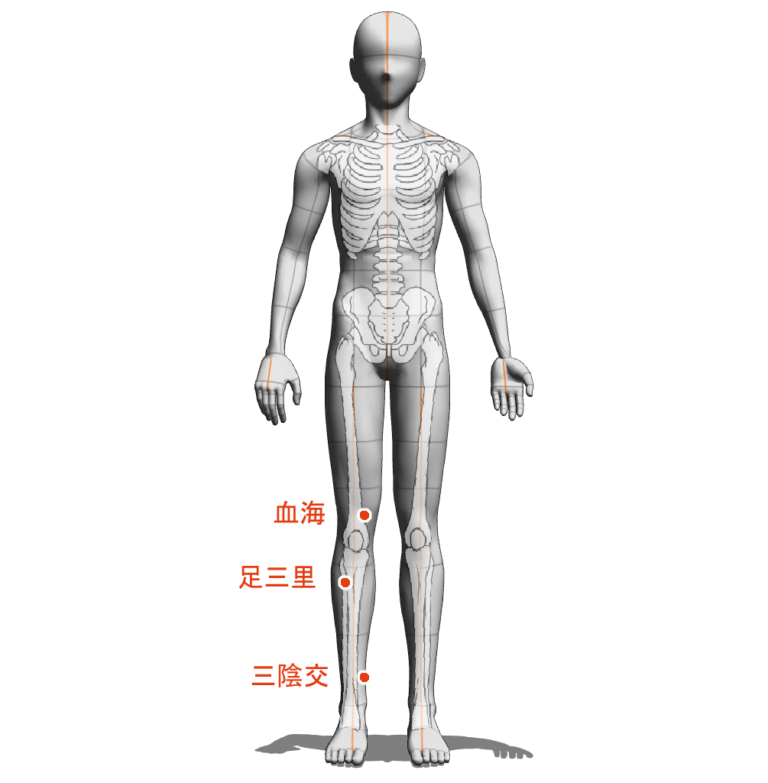 血虚の症状とその対処法 | 東洋文化備忘録