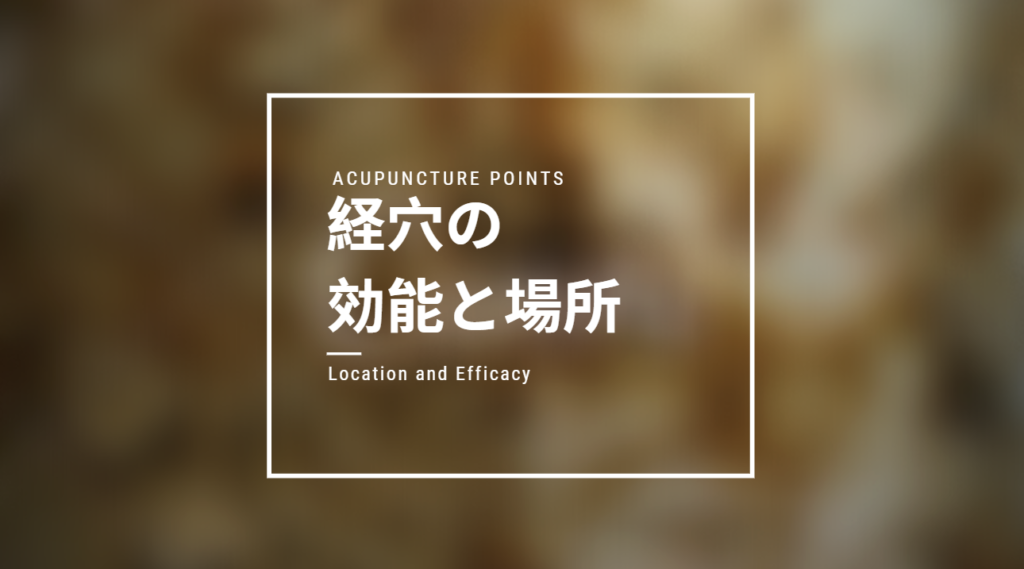 経絡別 経穴の効能と場所一覧 東洋文化備忘録