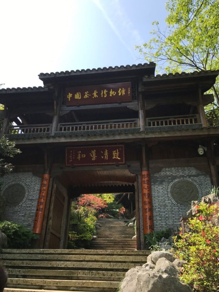 杭州　龍井　茶葉博物館
