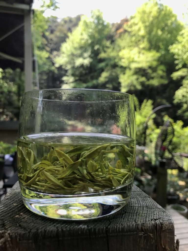 杭州　龍井　茶畑　有機　茶葉